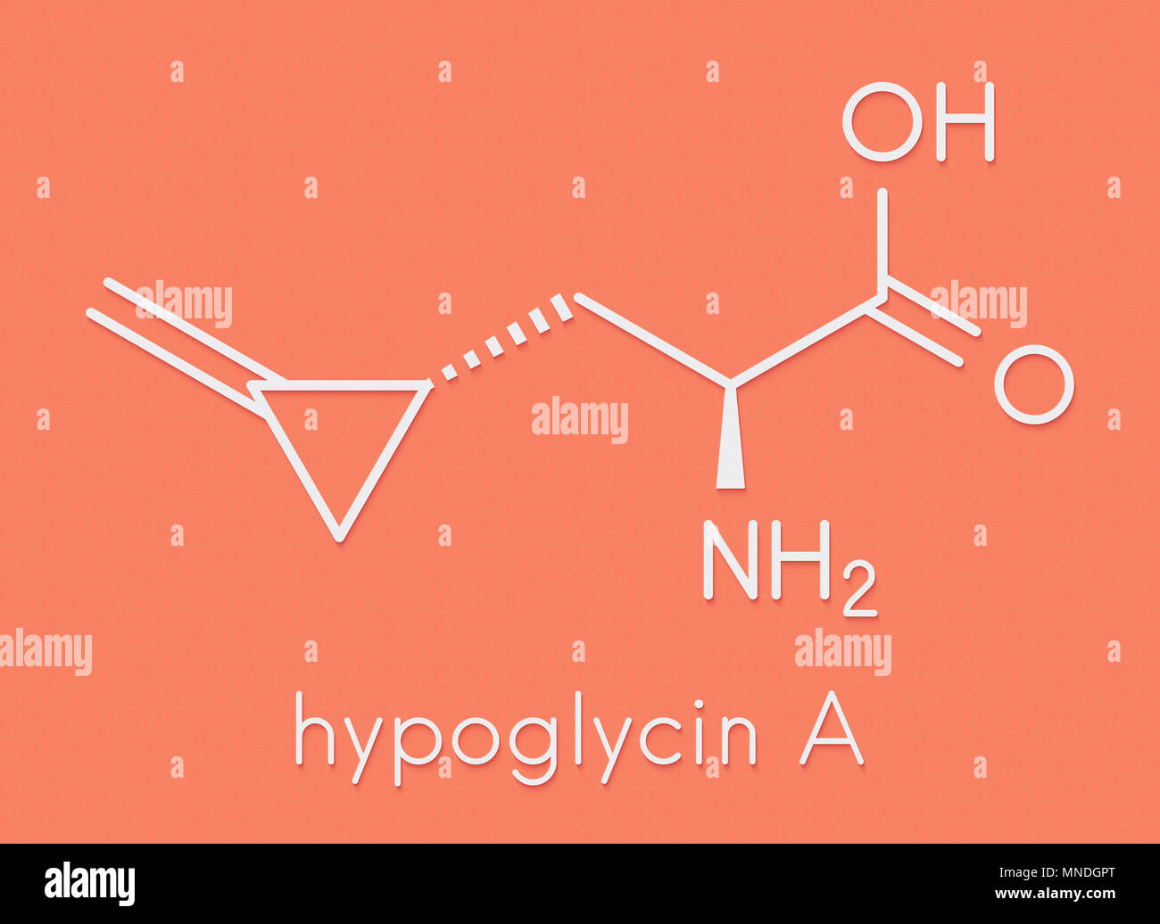 Hypoglycin A molecule. Toxic amino acid found in unripened lychees. Skeletal formula. Stock Photo