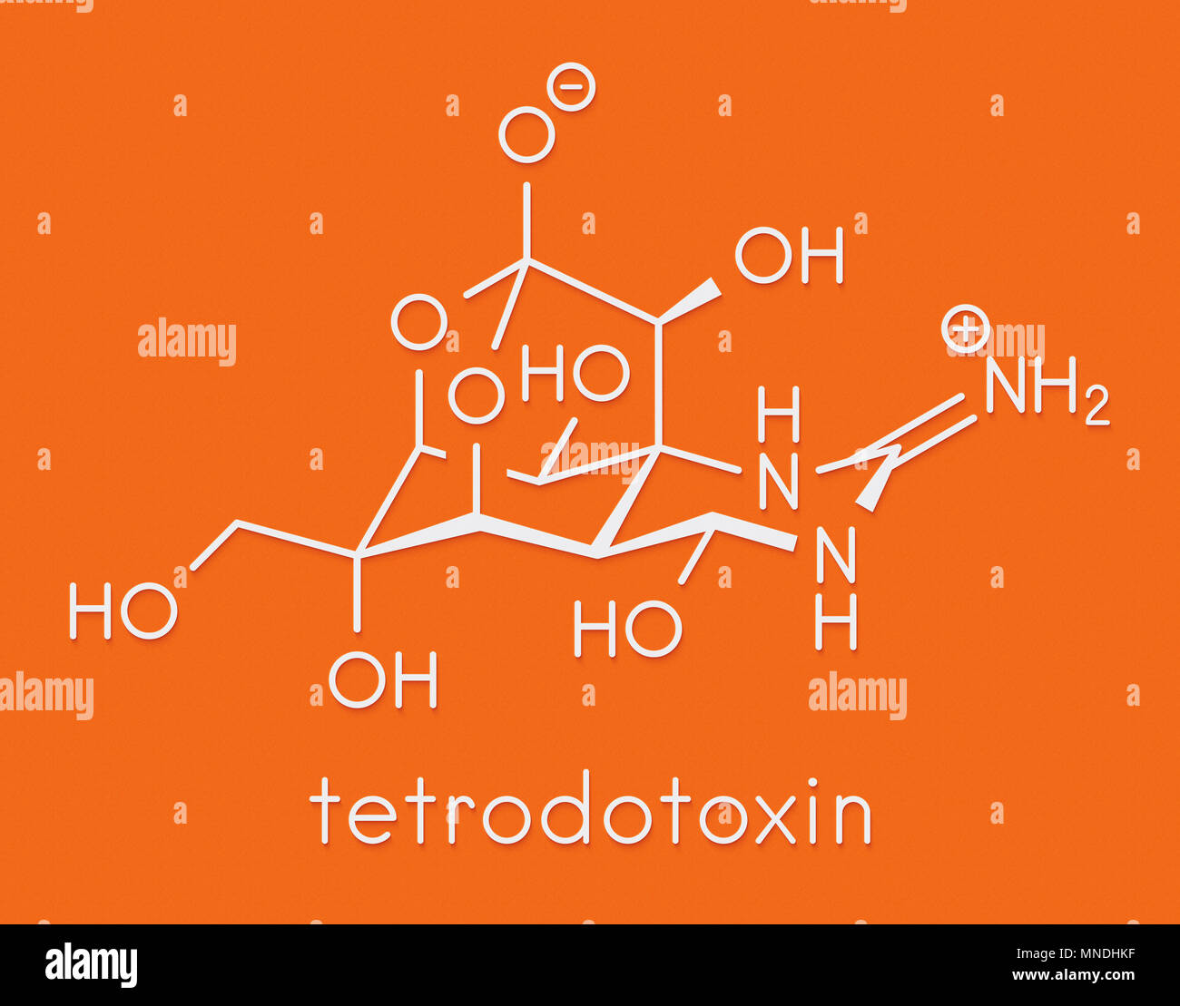 Tetrodotoxin (TTX) pufferfish neurotoxin molecule. Skeletal formula. Stock Photo