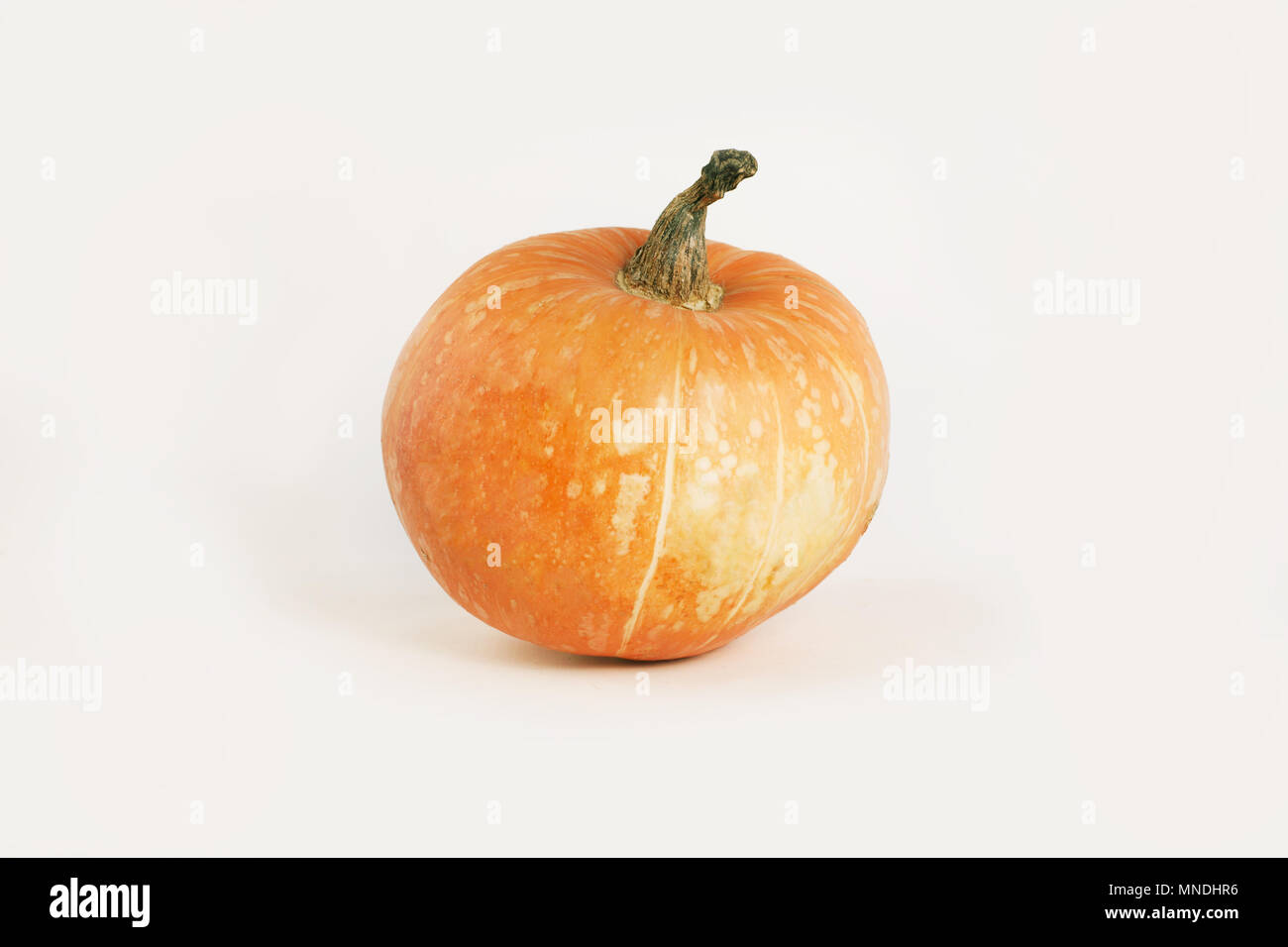 beautiful ripe pumpkin isolated on white background Stock Photo - Alamy