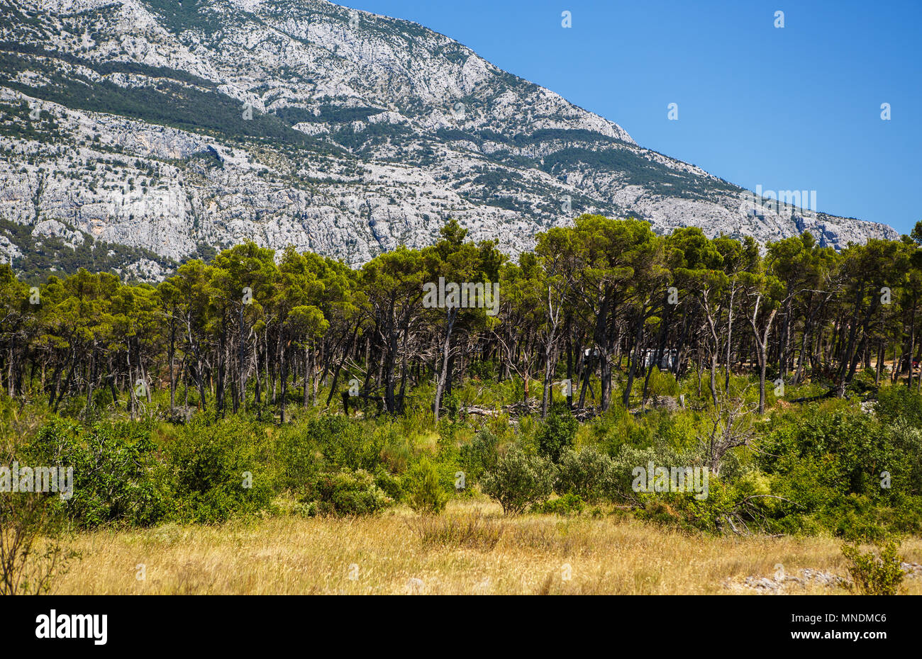 Beautiful Rocky Mountains In National Park Biokovo At Croatian Coast Of beautiful-rocky-mountains-in-national-park-biokovo-at-croatian-coast-of