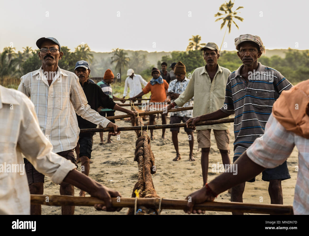 Fishermen gather huge fishing net .Traditional fishermen at Tarkali