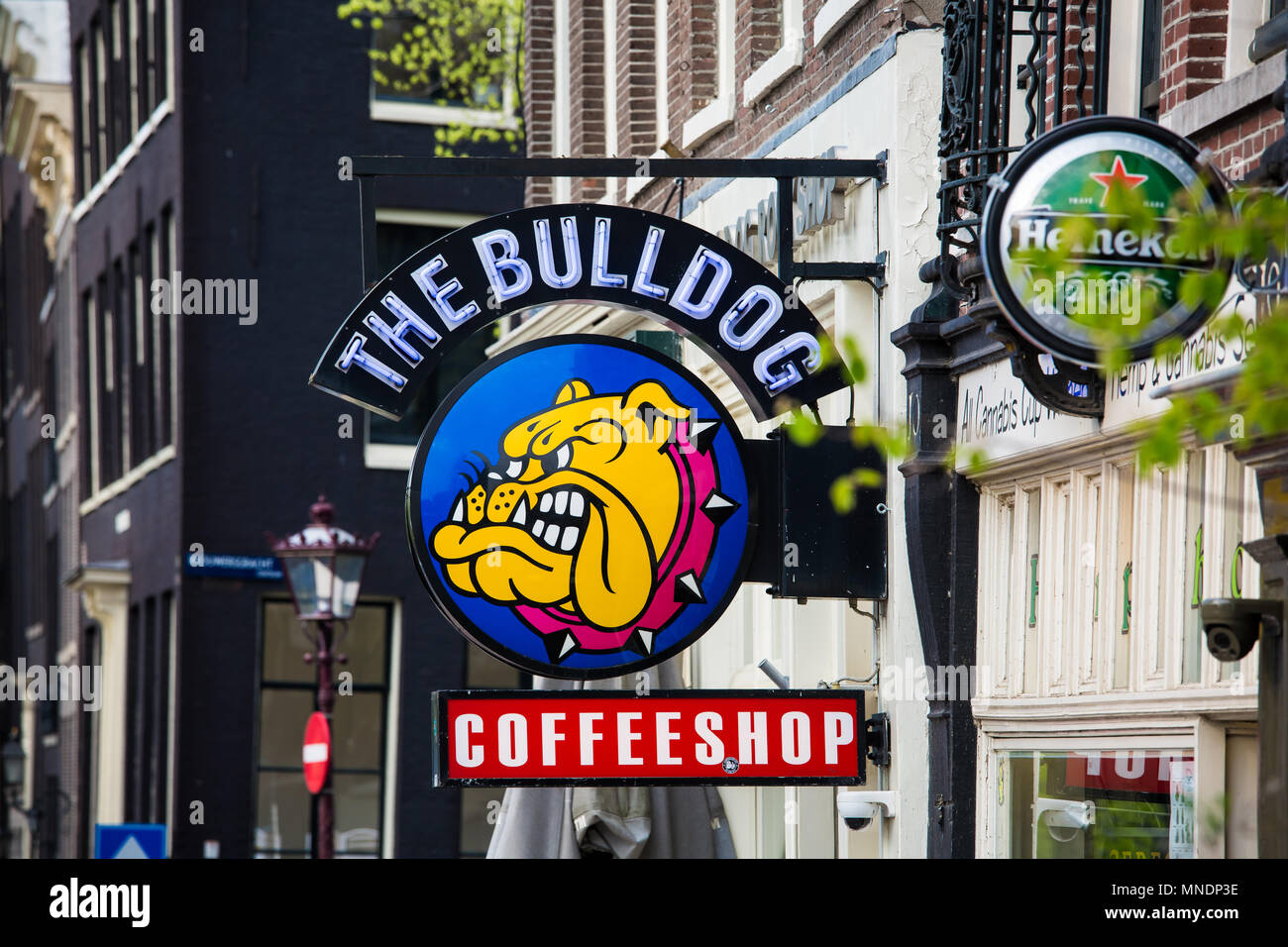 Amsterdam, Netherlands - April, 2018: The famous coffeshop Bulldog in Amsterdam city, Netherlands Stock Photo