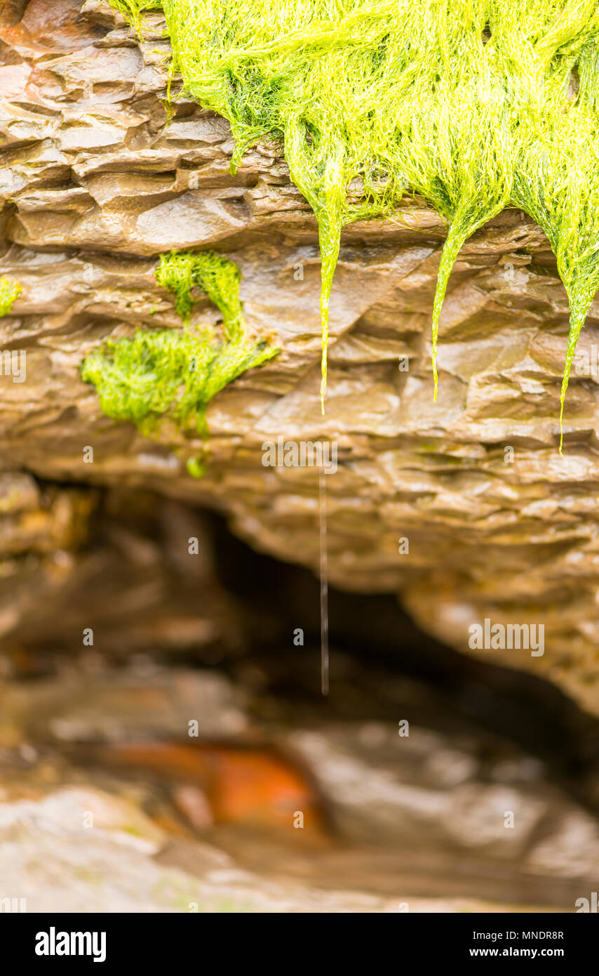 Swashed Cliff Water washed rocks hi-res stock photography and images - Alamy