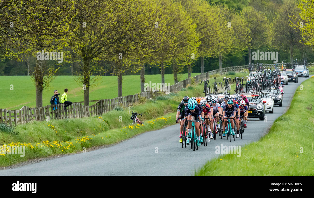 Female cyclists in peloton, competing in Tour de Yorkshire 2018 & racing on flat, scenic, countryside lane near Ilkley, North Yorkshire, England, UK. Stock Photo
