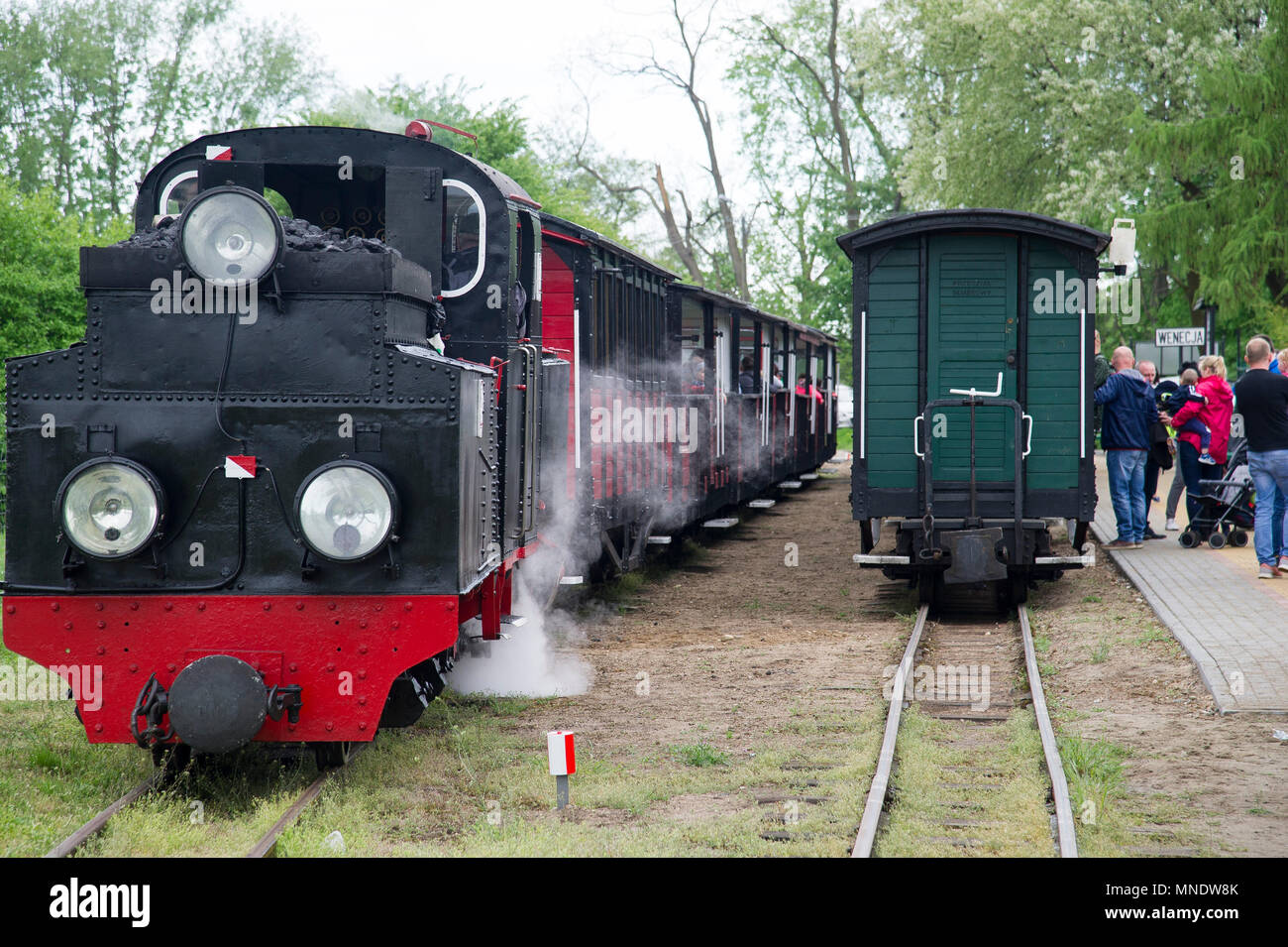 Polish 600 mm narrow gauge steam locomotive Px38-805 nicknamed Leon built in 1938 still in use by historic Zninska Kolej Powiatowa (Znin County Railwa Stock Photo