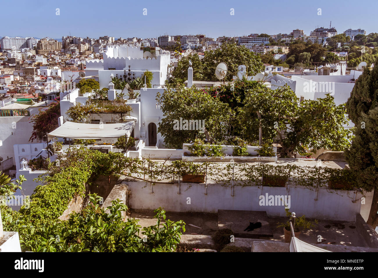 The terraces of the Tangiers's medina, North of Morocco Stock Photo