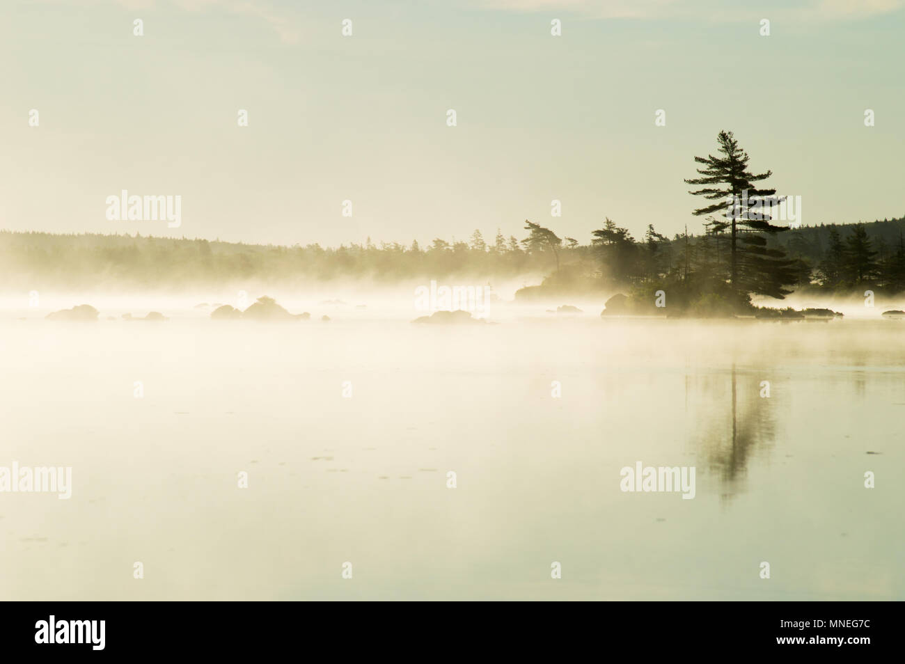 Misty morning by the lake hi-res stock photography and images - Alamy