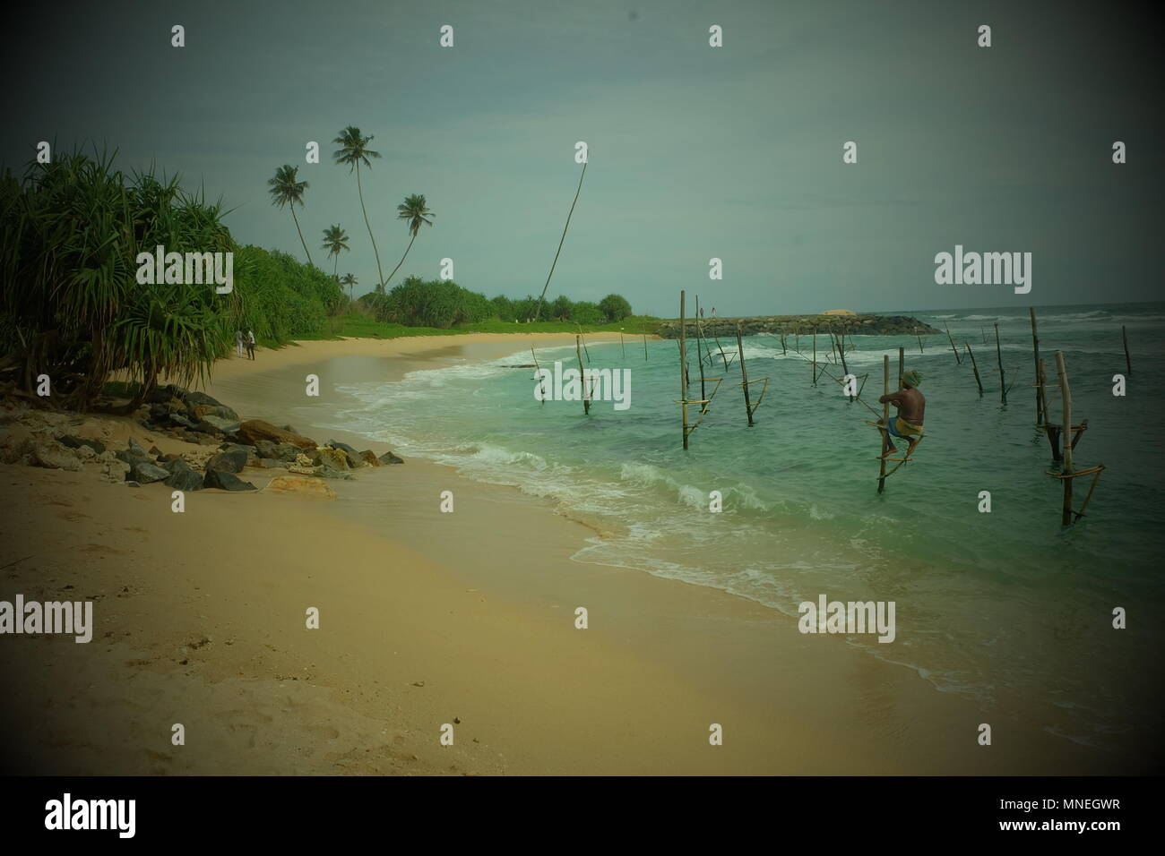 Stilt Fishing in Sri Lanka Stock Photo - Alamy