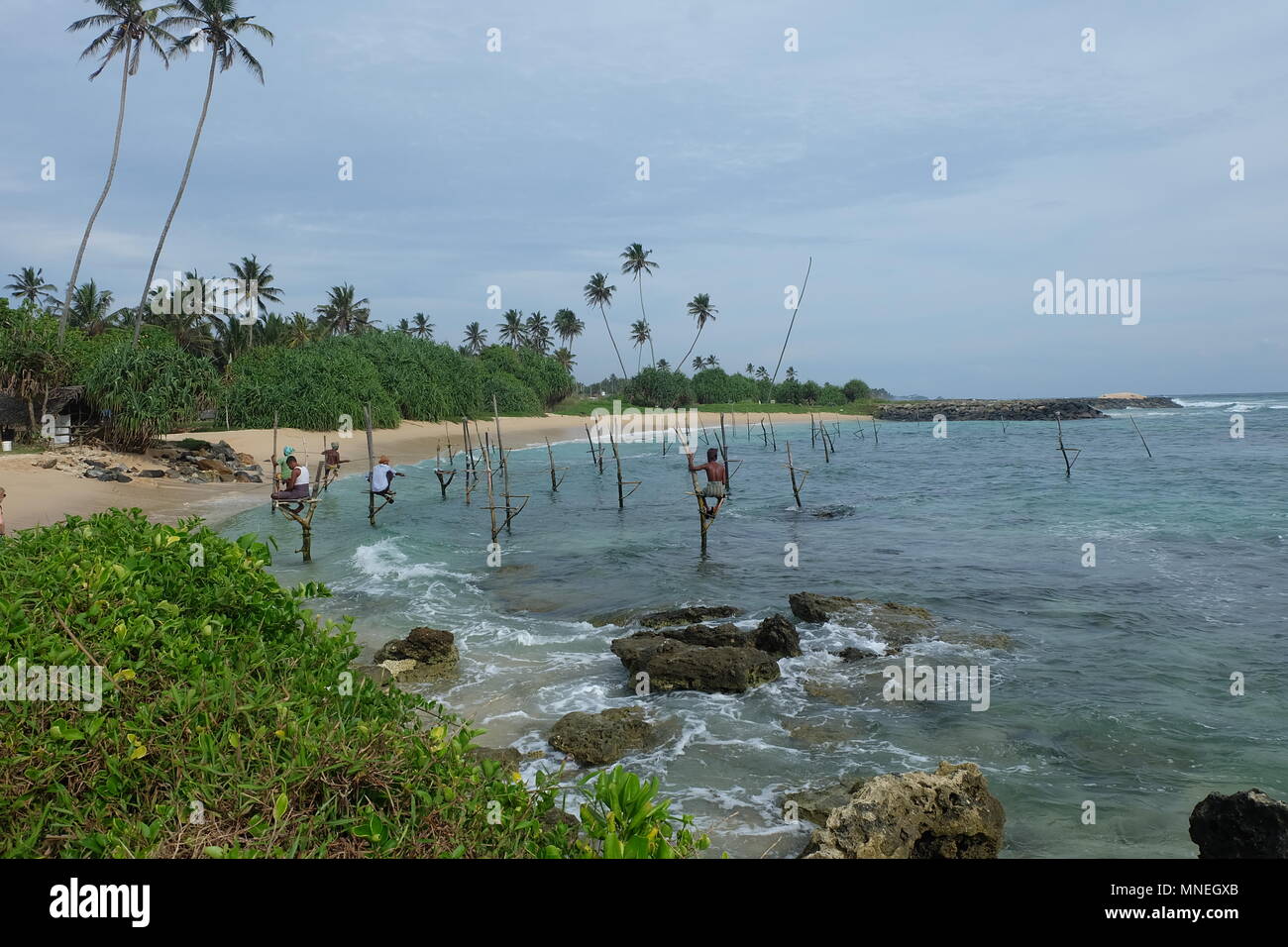 Stilt Fishing in Sri Lanka Stock Photo - Alamy
