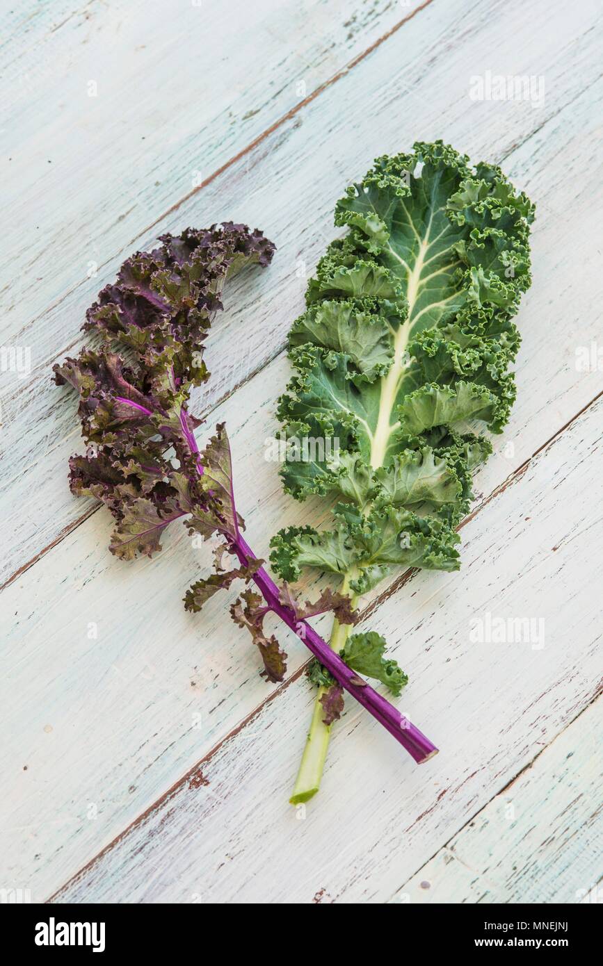 Kale varieties hires stock photography and images Alamy