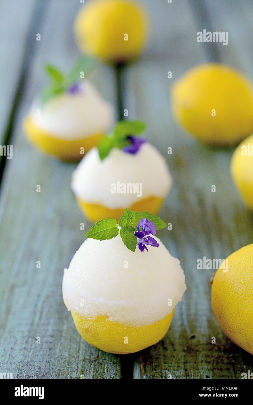 Lemon sorbet served in lemon halves Stock Photo