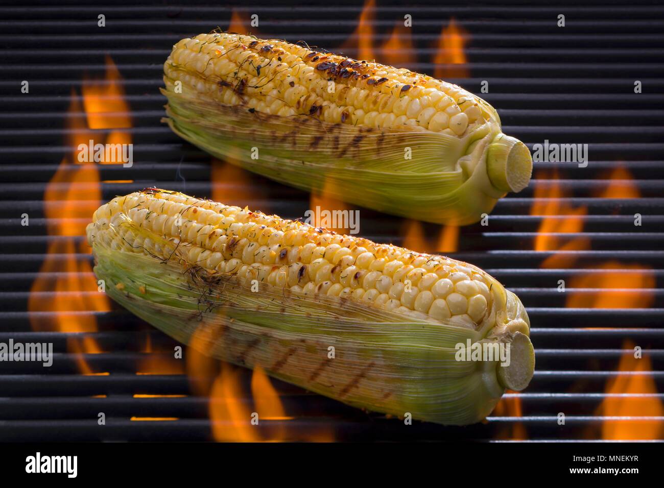 Seasoned cornonthecob on a barbecue Stock Photo Alamy