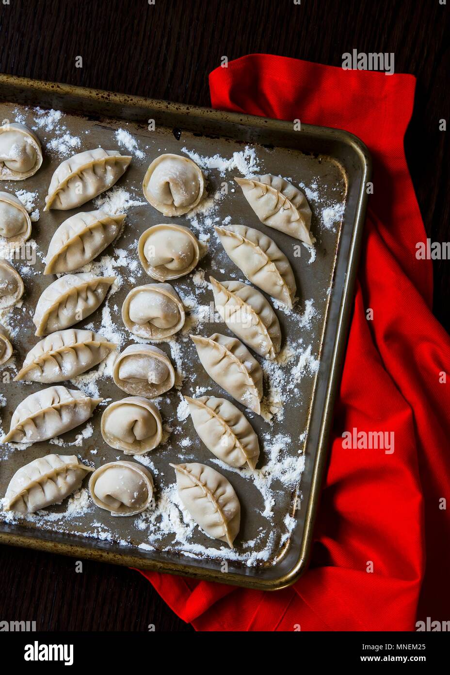 Fresh handmade Chinese dumplings on a baking tray Stock Photo Alamy