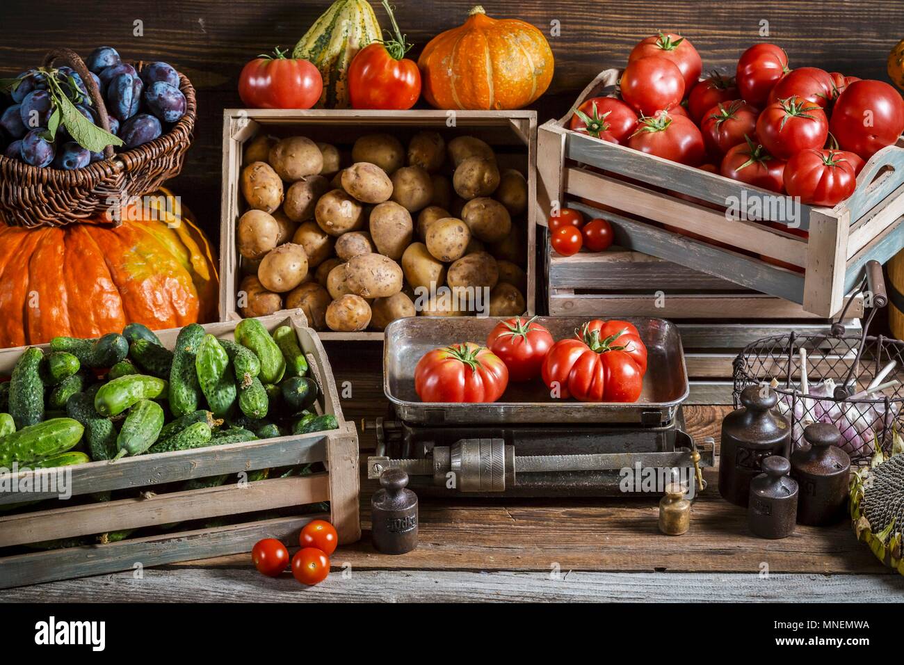 Various types of vegetables in crates and in a basket with plums Stock Photo