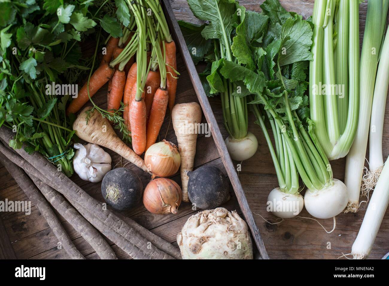 A vegetable crate with root vegetables, onions and parsley Stock Photo