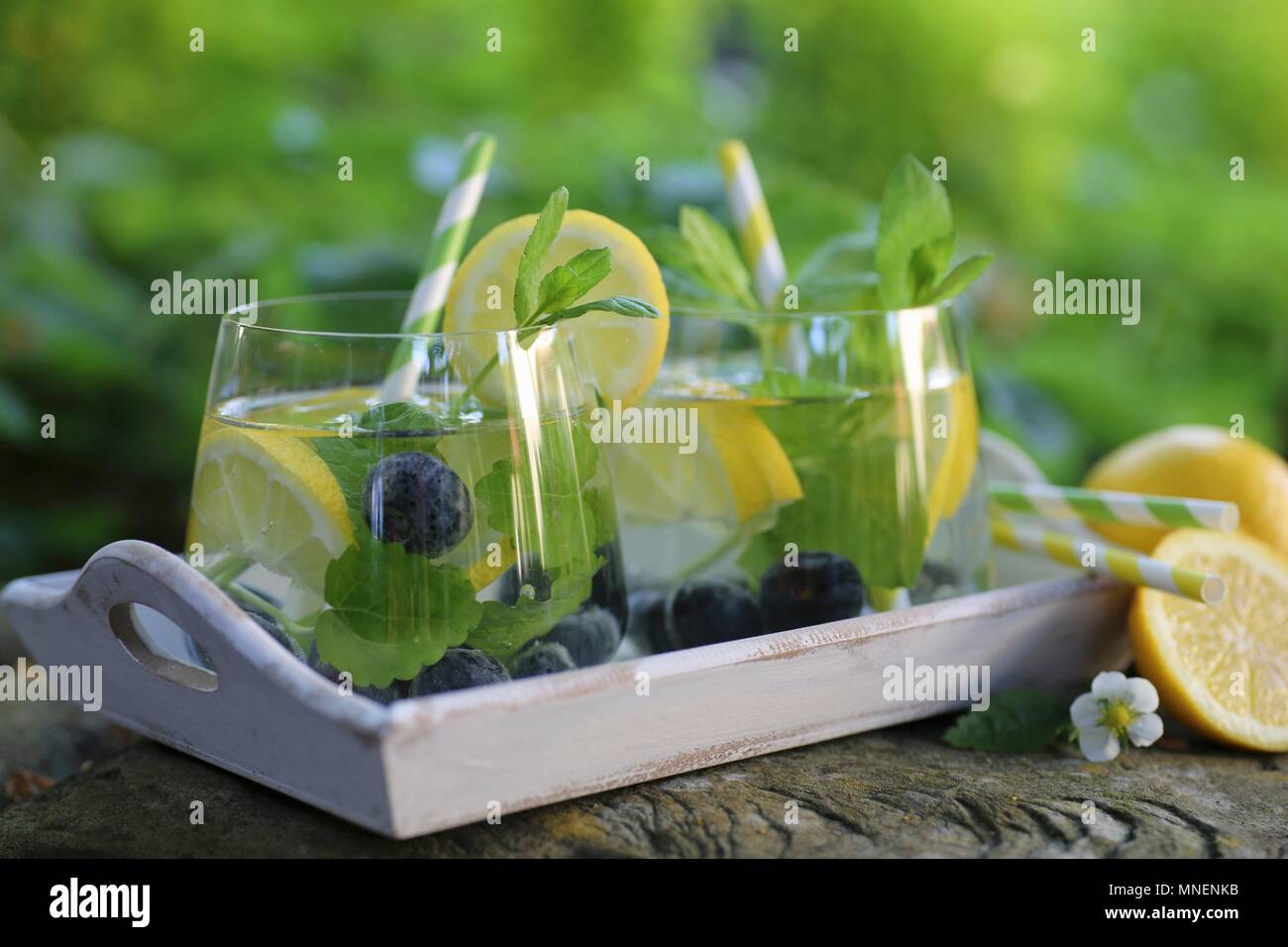 Water with lemon, blueberries and mint served in a garden Stock Photo