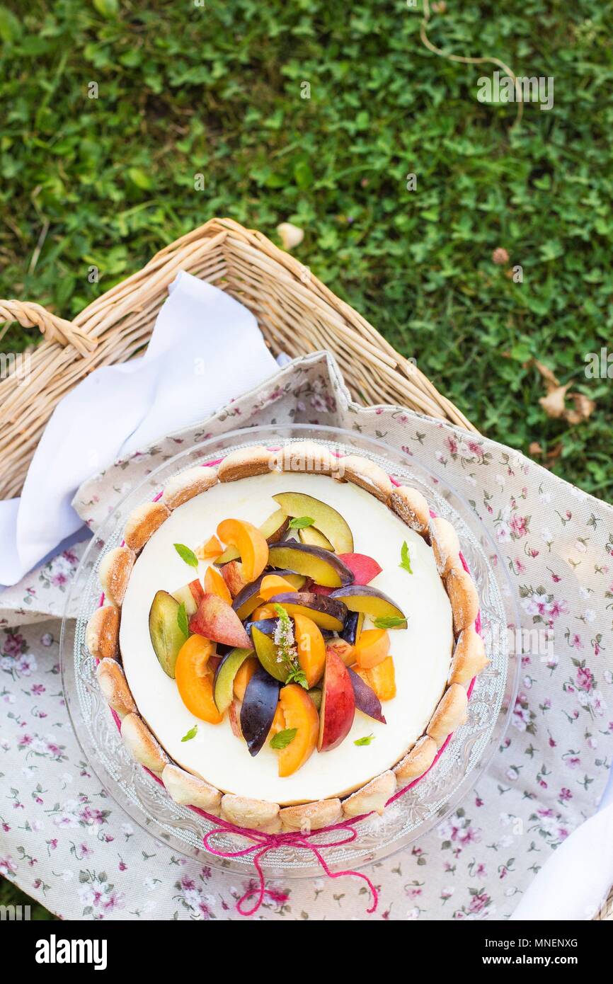 Charlotte cake with fresh fruit for a picnic Stock Photo Alamy