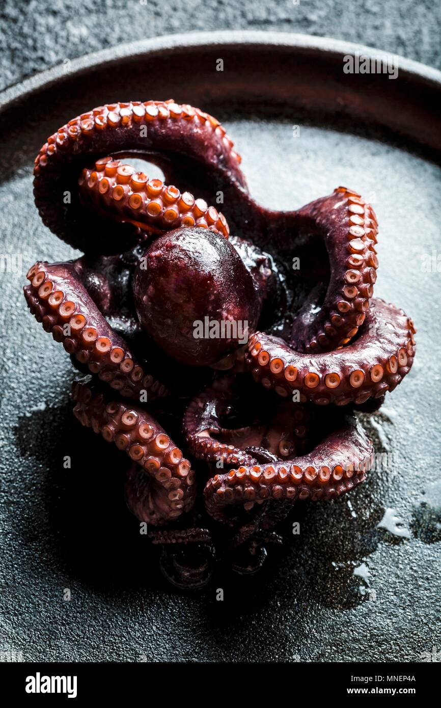 Octopus in a black pan Stock Photo