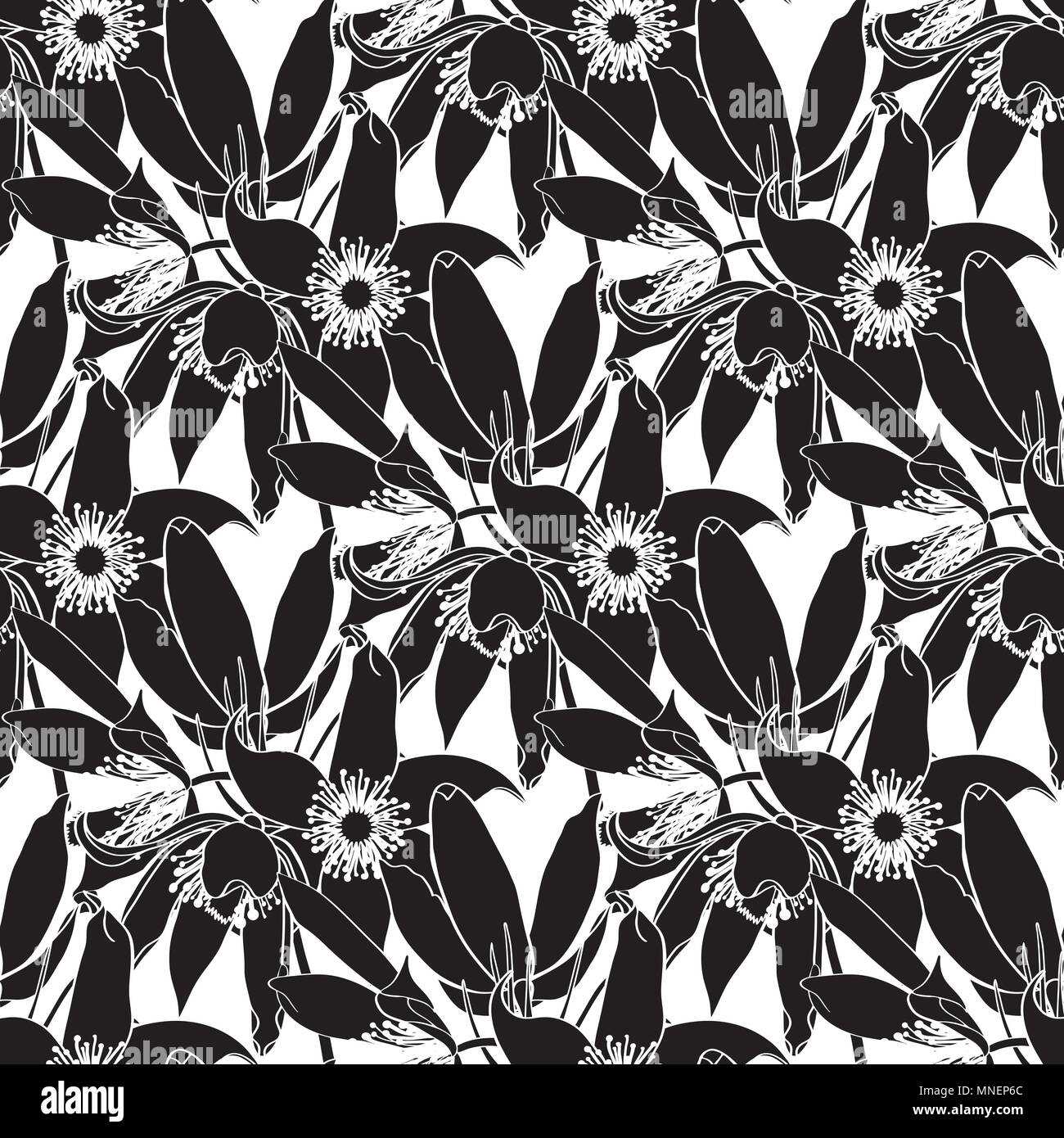 Black and white seamless pattern with flowers Stock Photo