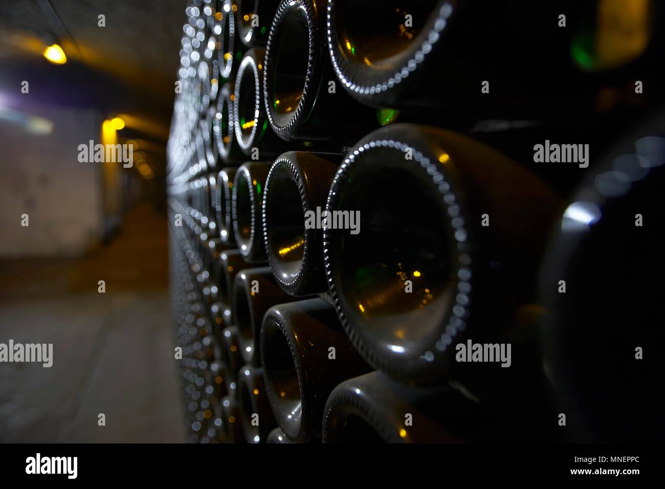 A closeup of bottle bottoms in an aisle of a wine cellar Stock Photo