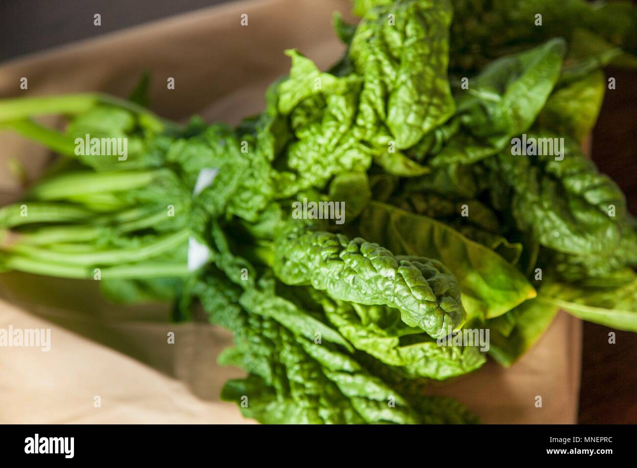 Fresh Bunch of Spinach on a Brown Paper Bag Stock Photo Alamy