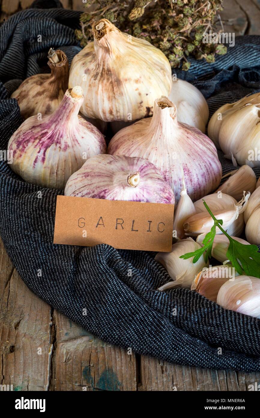 Purple garlic bulbs on a fabric napkin on a rustic wooden table with thyme and parsley Stock Photo