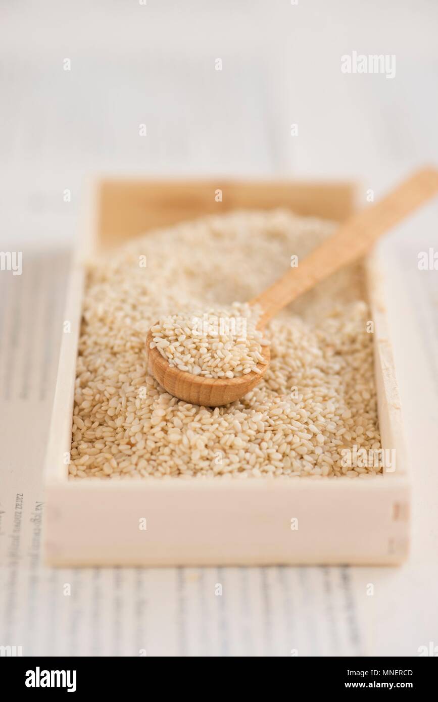 Sesame seeds with a spoon in a wooden box Stock Photo