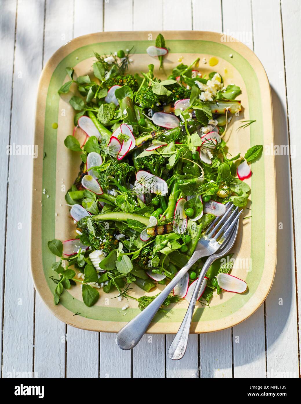 Broccoli and spinach salad with radishes and peas Stock Photo