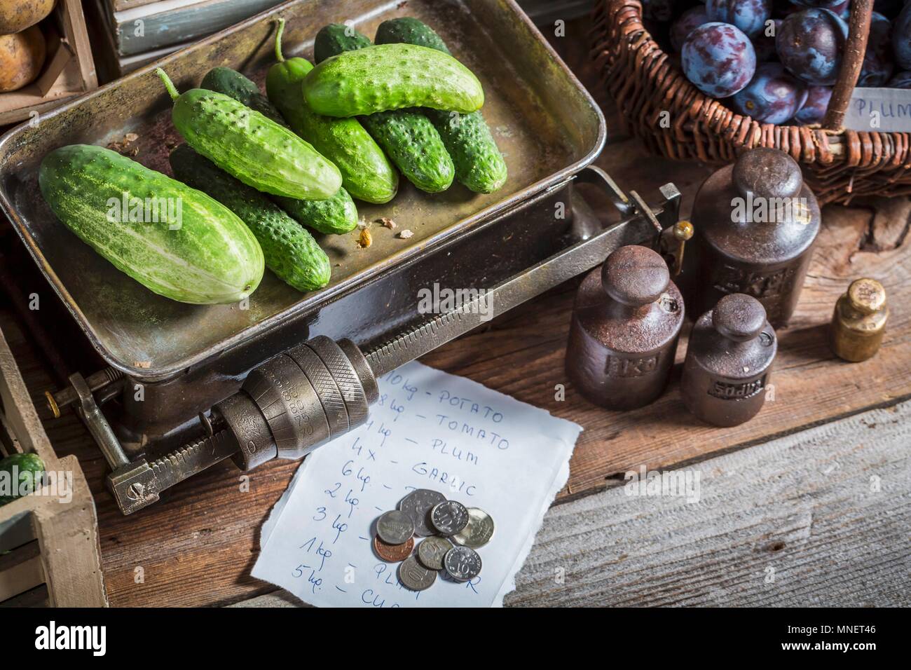 Cucumbers on an old pair of scales Stock Photo