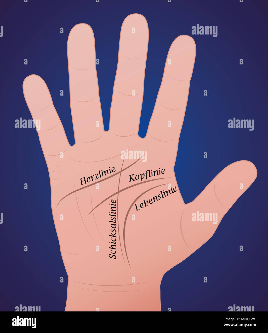 Palmistry, Meanings, Traits and Characteristics, Lines, Markings