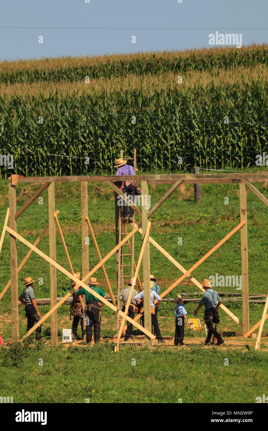 New Providence, PA, USA July 30, 2013 Amish farmers at a “barn