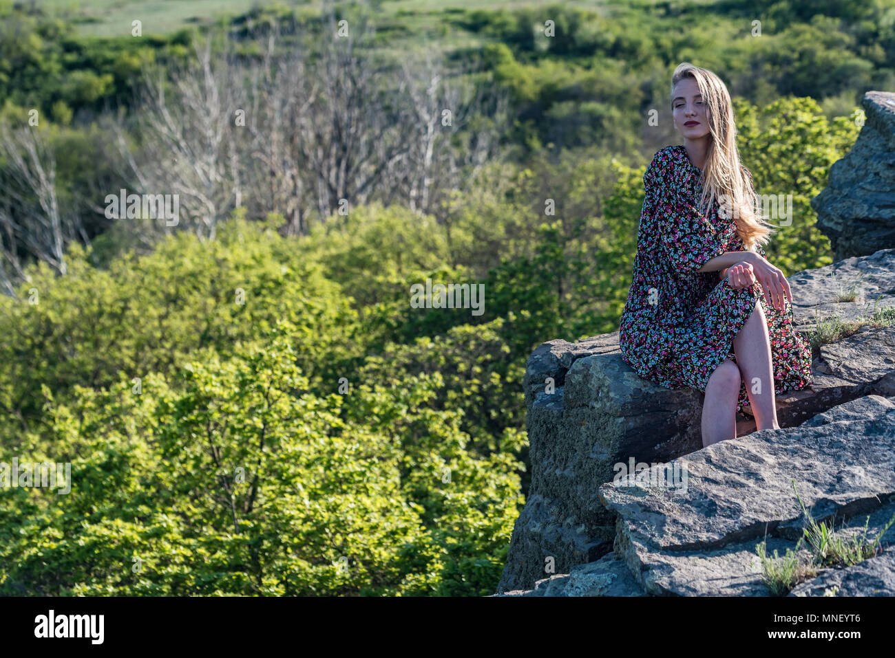 Beautiful girl in dress sits on rock in nature Stock Photo - Alamy
