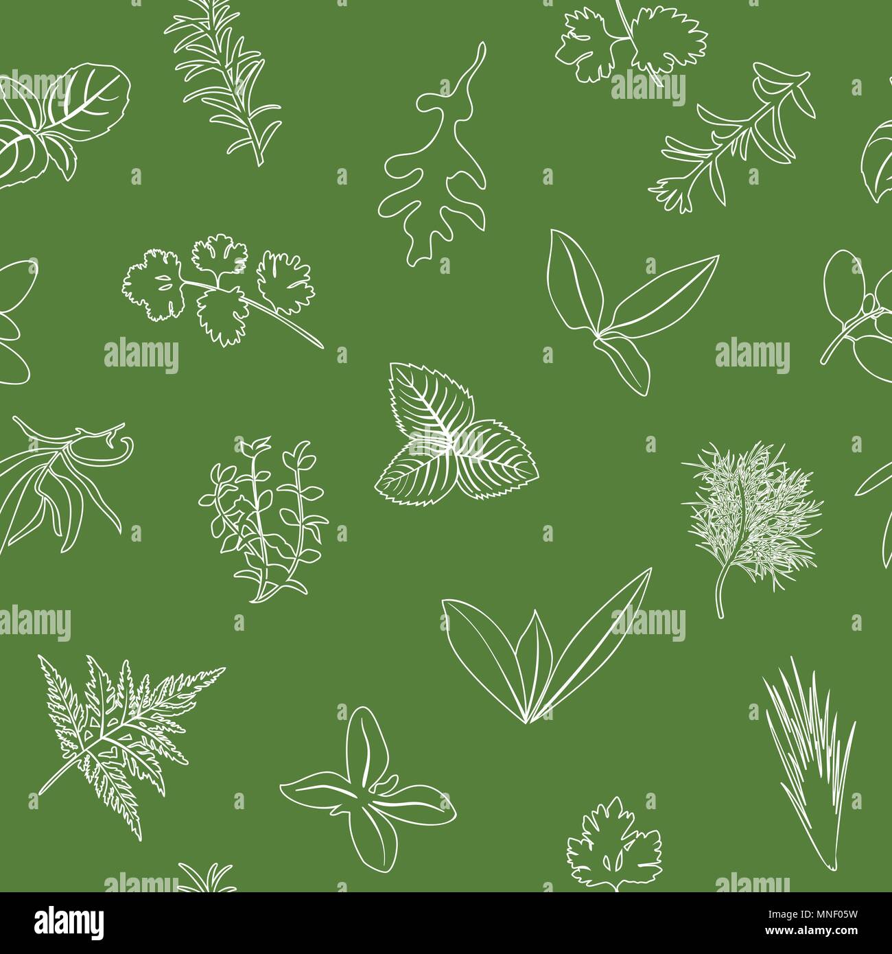 Popular culinary herbs seamless pattern. realistic style. icon outline sketch on green. Basil, coriander, mint, rosemary, basil, Stock Vector