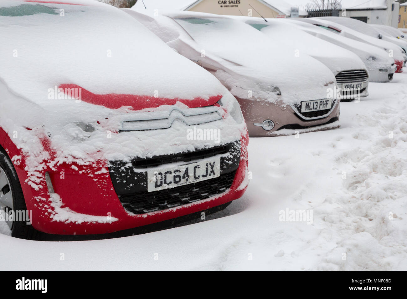 Cars for sale in showroom forecourt covered in snow, Llanfoist. Abergavenny, Wales, UK Stock Photo