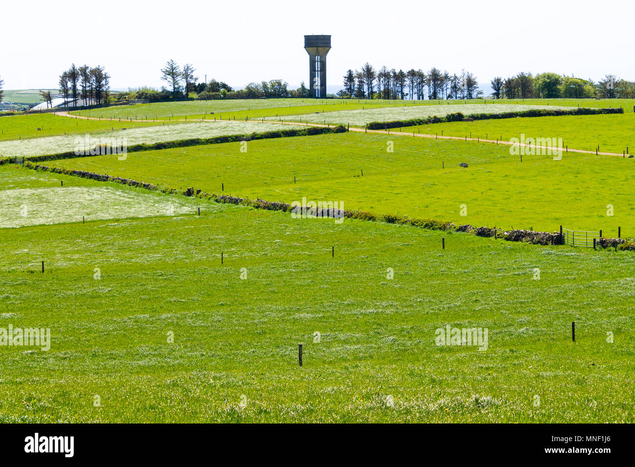 water storage tower made of concrete on the horizon with green fields of grass bordered by hedges in cork county, ireland Stock Photo