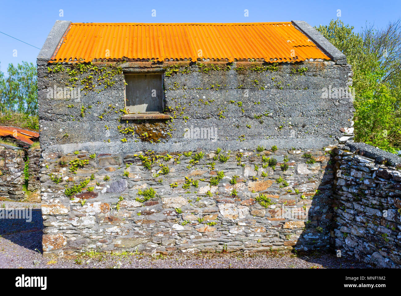 rusty corrugated tin roof on top of a stone built barn in ireland. Stock Photo
