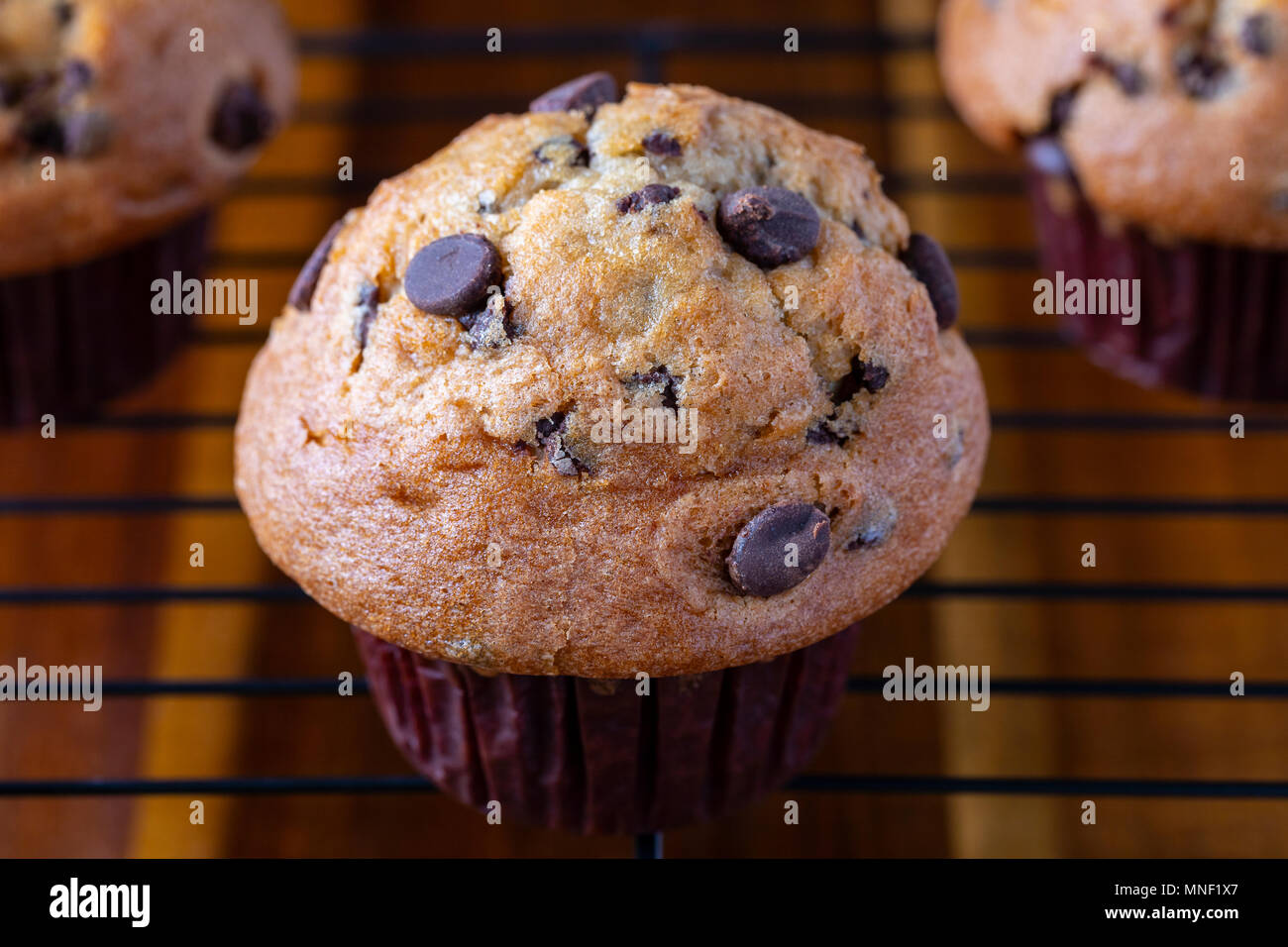 Chocolate Chip Muffins Stock Photo
