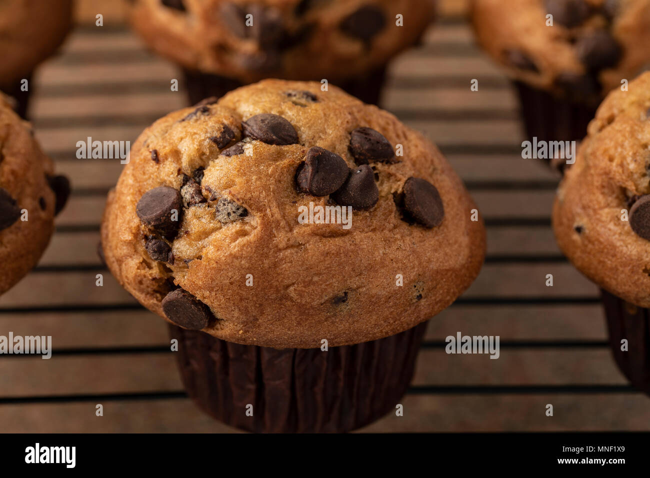 Chocolate Chip Muffins Stock Photo