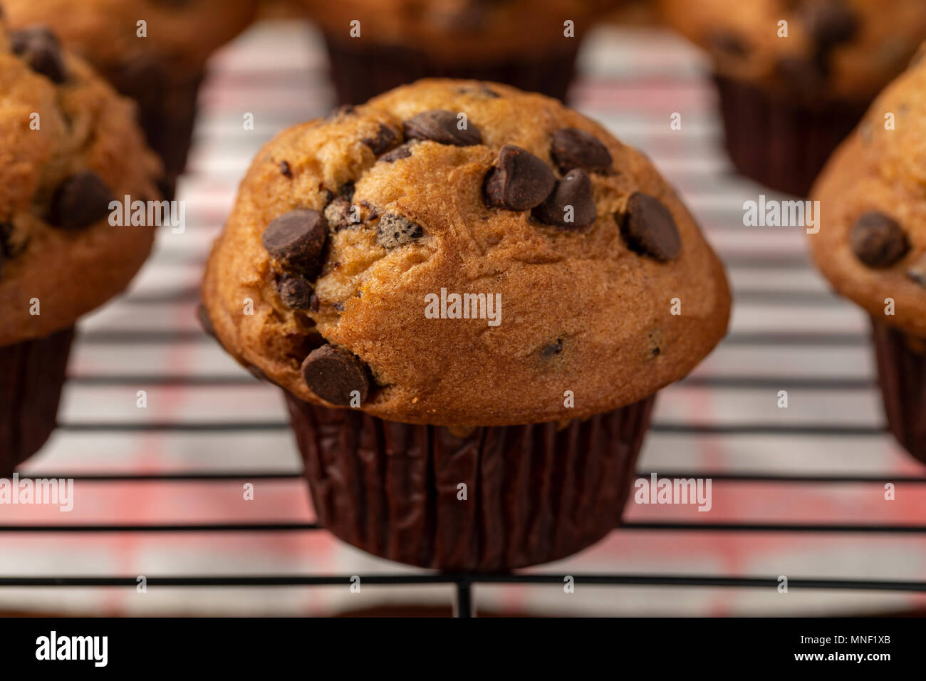 Chocolate Chip Muffins Stock Photo