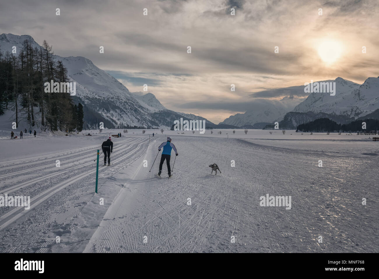 Cross-country skiing in Sils Stock Photo
