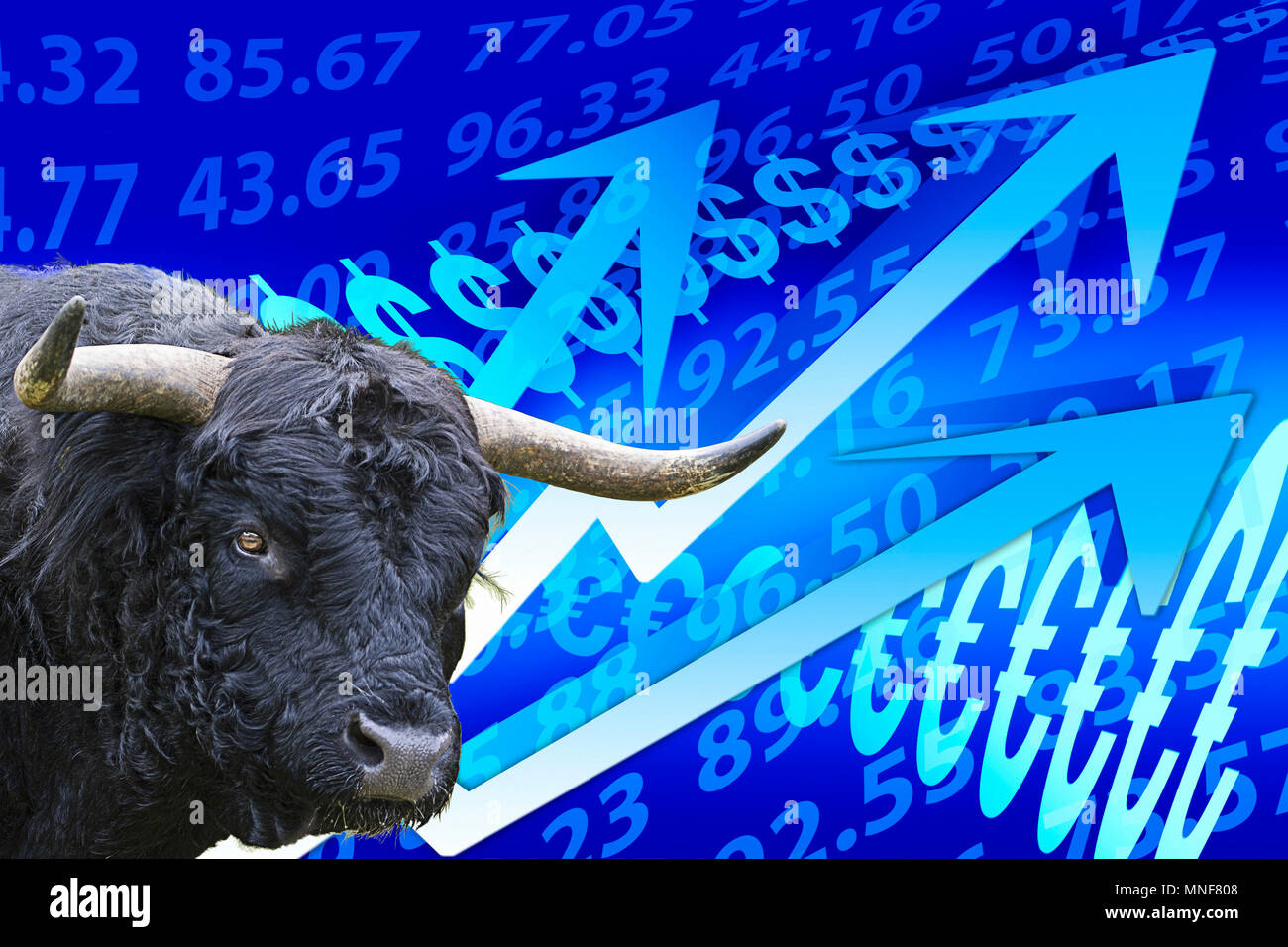 Bull, symbolic picture of rising prices, stock market figures, rising arrows, money growth, stock trading Stock Photo