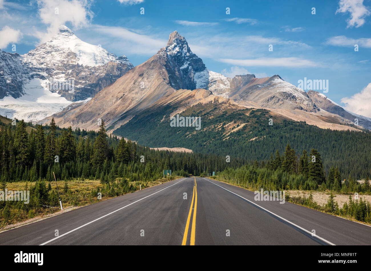 View from Icefields Parkway, Highway 93 to Mount Athabasca and Hilda Peak, Jasper National Park, Rocky Mountains, Alberta Stock Photo