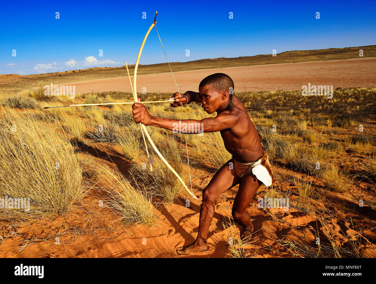 Bushman Of The San People Hunting Xaus Lodge Kalahari Or Kglagadi Transfrontier Park
