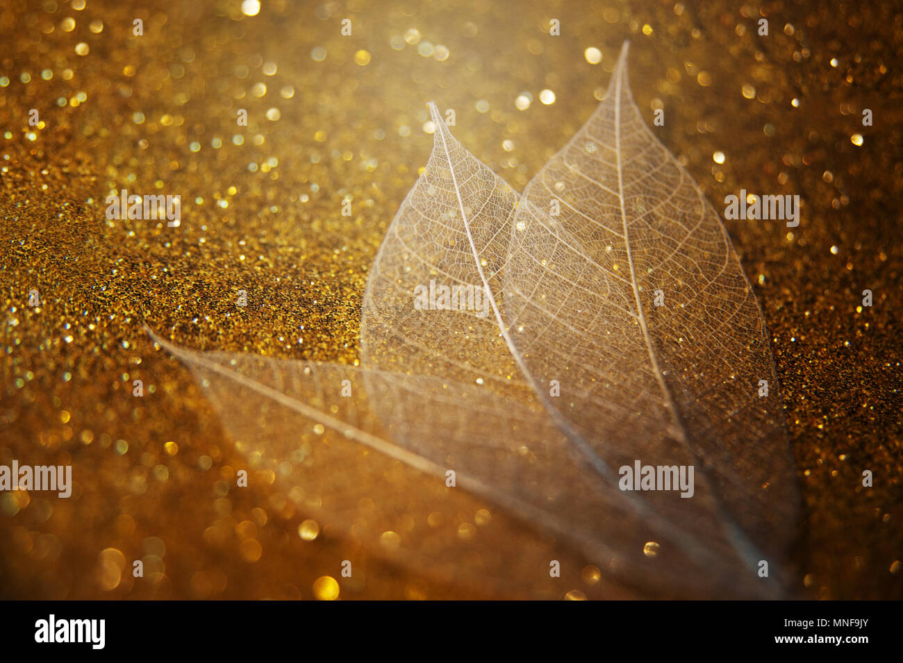 Beautiful background hi-res stock photography and images - Alamy