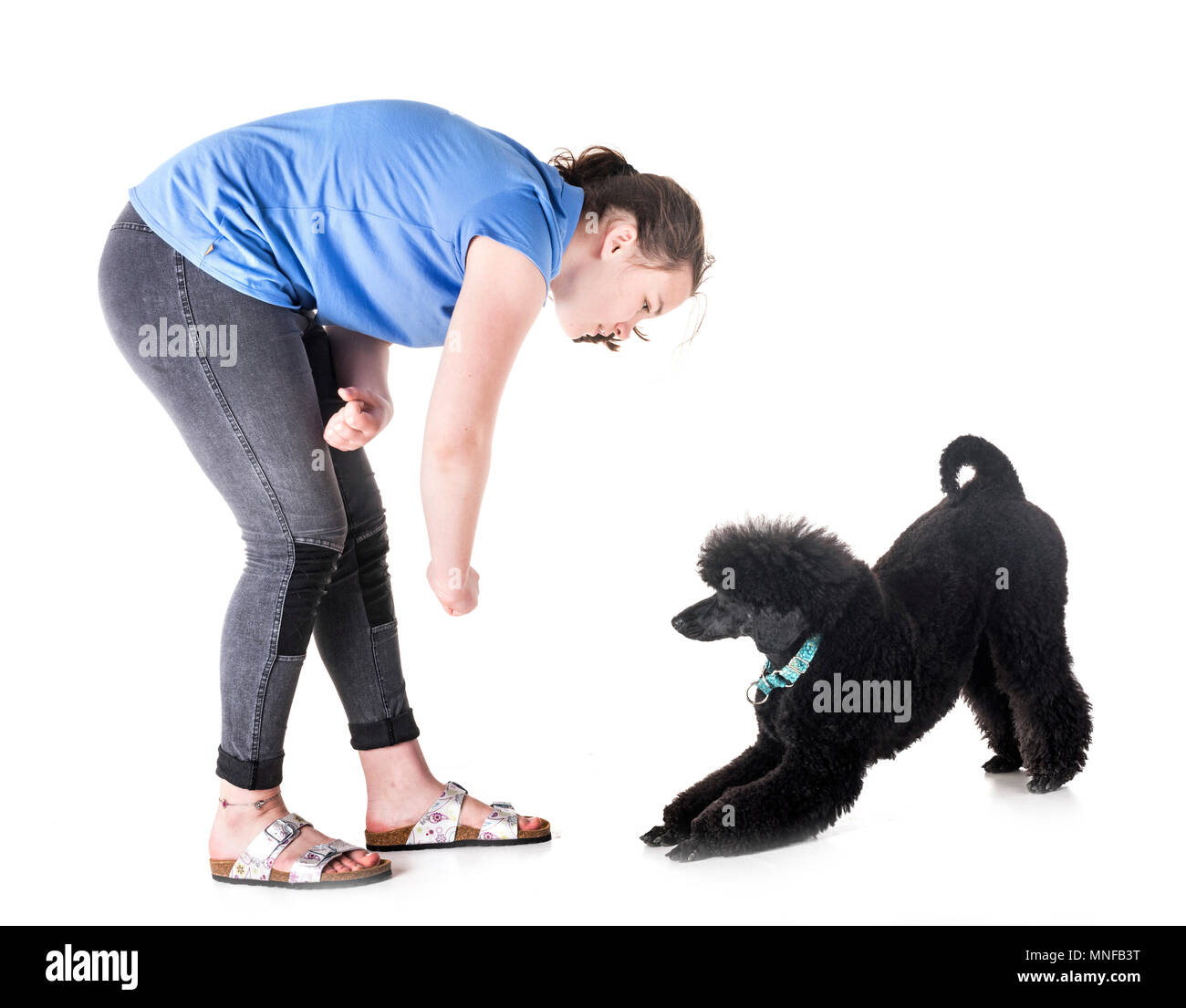 dog and owner in front of white background Stock Photo