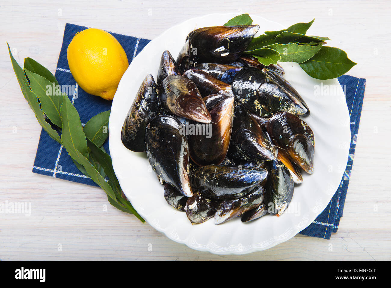 Fresh and alive mussels for cooking cleaned and ready to be steamed Stock Photo Alamy