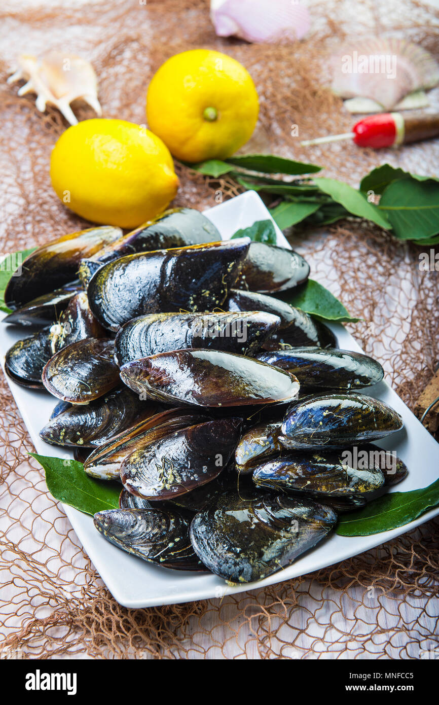 Fresh and alive mussels for cooking cleaned and ready to be steamed Stock Photo Alamy