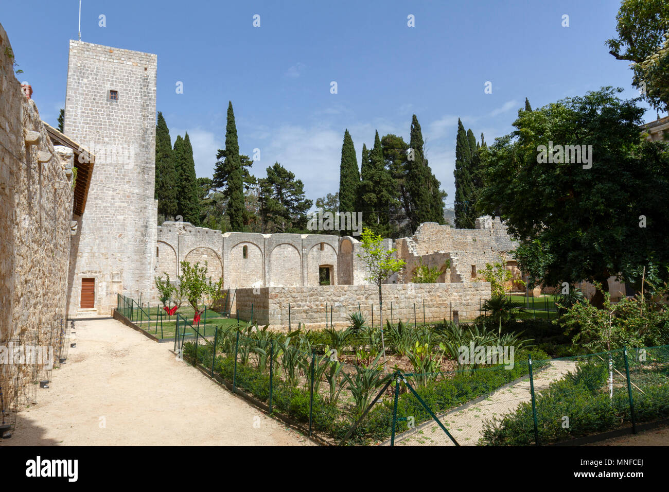 The tower, part of the destroyed cloisters inside the the former Benedictine monastery on Lokrum Island, in the Adriatic Sea off Dubrovnik, Croatia. Stock Photo