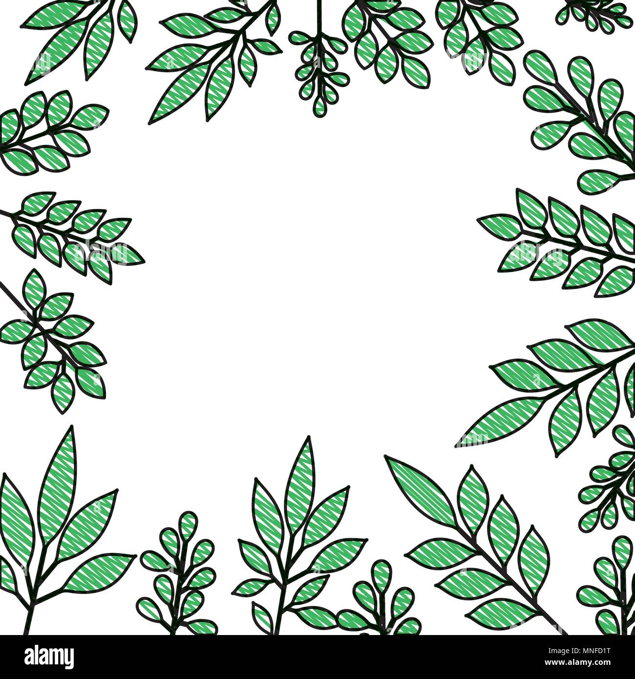 leafs plant frame pattern Stock Vector Image & Art - Alamy