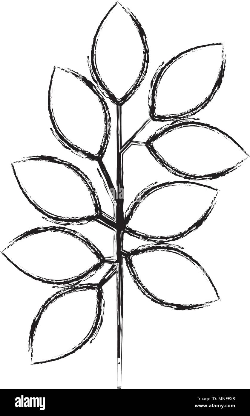 branch with leafs decorative icon Stock Vector Image & Art - Alamy
